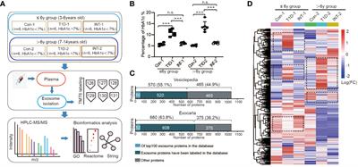 Pathological mechanisms of type 1 diabetes in children: investigation of the exosomal protein expression profile